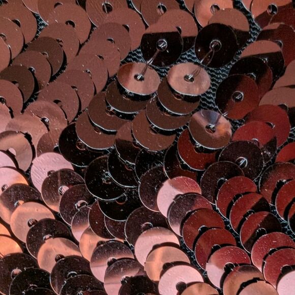 CHLOÉ See by Chloe Sequin Skirt Bronze Pencil $1300 Small - Picture 7 of 14